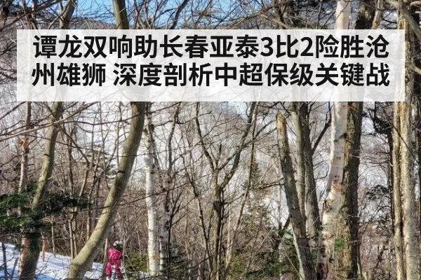 谭龙双响助长春亚泰3比2险胜沧州雄狮 深度剖析中超保级关键战
