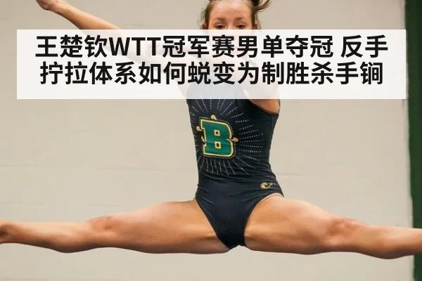 王楚钦WTT冠军赛男单夺冠 反手拧拉体系如何蜕变为制胜杀手锏