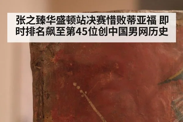 张之臻华盛顿站决赛惜败蒂亚福 即时排名飙至第45位创中国男网历史
