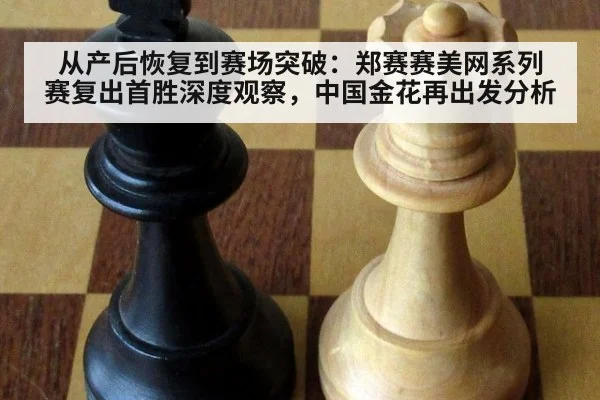 从产后恢复到赛场突破：郑赛赛美网系列赛复出首胜深度观察，中国金花再出发分析