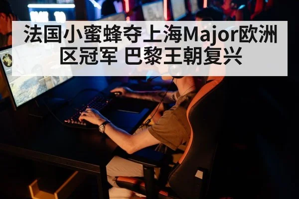 法国小蜜蜂夺上海Major欧洲区冠军 巴黎王朝复兴